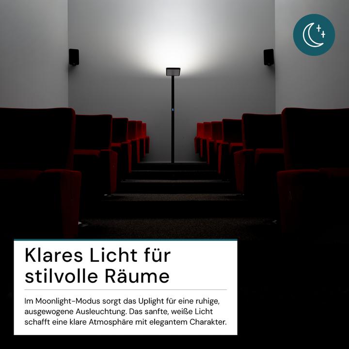 Actual product image Luxula LED Büro-Stehleuchte, Up/Down, schwarz (7000 lm)