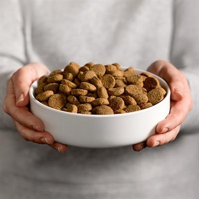 Image du produit Smolke Senior Maxi Brokken - 3 Kg (Senior, 3050 g)