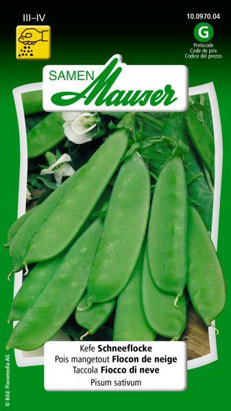 Actual product image Samen Mauser Kefen snowflake (Vegetable seeds)