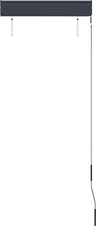 Produktbild vidaXL Outdoor Rollo (200 x 250 cm)