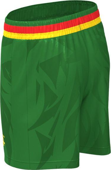 Actual product image Fourteen Cameroun Shorts Dynamic 2025/26 (L)