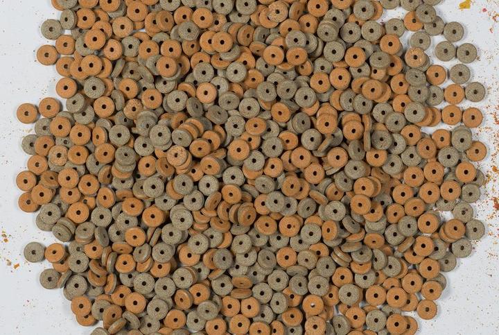 Produktbild Tetra Tips Haft Futtertabletten (Guppys)