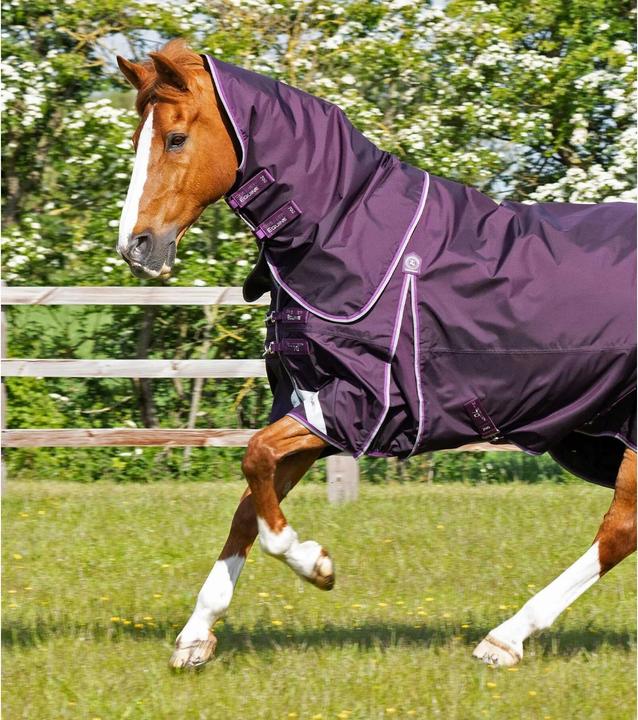 Immagine prodotto Premier Equine Buster 70 g (191 cm)