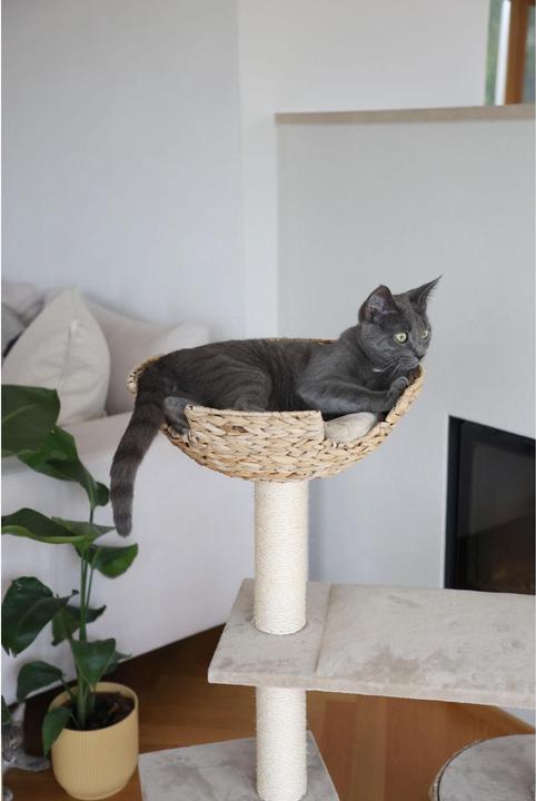 Actual product image Kerbl Banana Leaf Jade (100 cm, Beige)