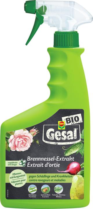 Produktbild Gesal Brennnessel-Extrakt (Pilze)