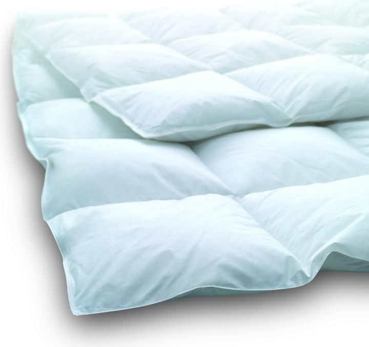Dauny White Clima Light (450 g, 160 x 210 cm)