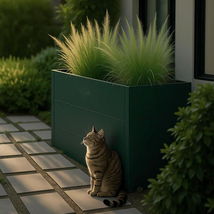 Actual product image MCW P64-E