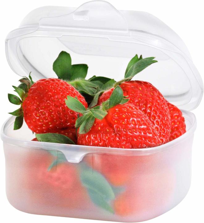 Produktbild Rotho Fun (0.45 l)