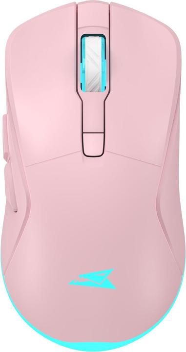 Produktbild Baracuda BGM-124 Schildkröte Rosa (Kabellos)
