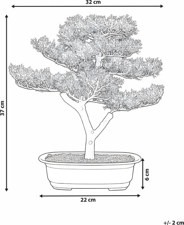 Immagine prodotto Beliani Pine (37 cm)