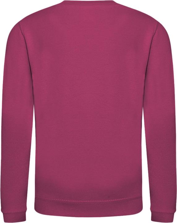 Immagine prodotto Awdis - Felpa Girocollo Tinta Unita - Bambini (146)