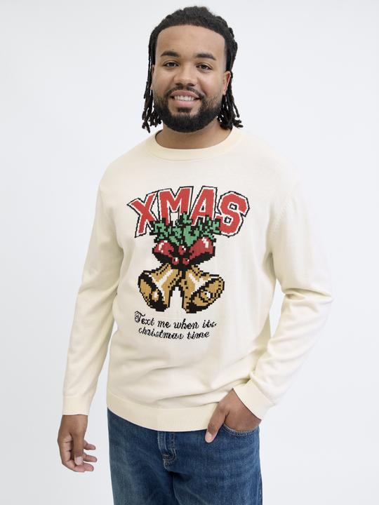 Produktbild Jack & Jones Plus Size Strickpullover Strickpullover (4XL)