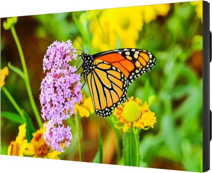 NEC MultiSync UN552S - display LCD di classe 139,7 cm (55") di diagonale con sfondo LED (1920 x 1080 pixel, 55")