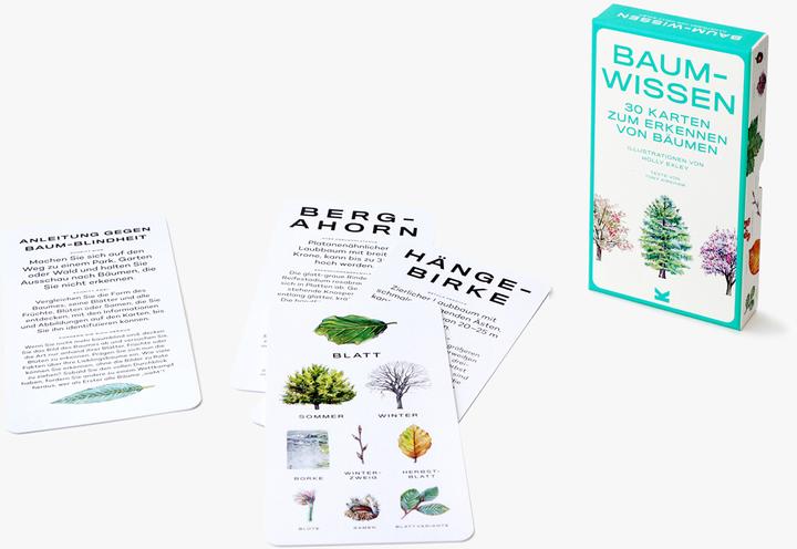 Actual product image 441678 - Baum-Wissen - Card game, 1+ players, ages 8+ (DE edition) (German)