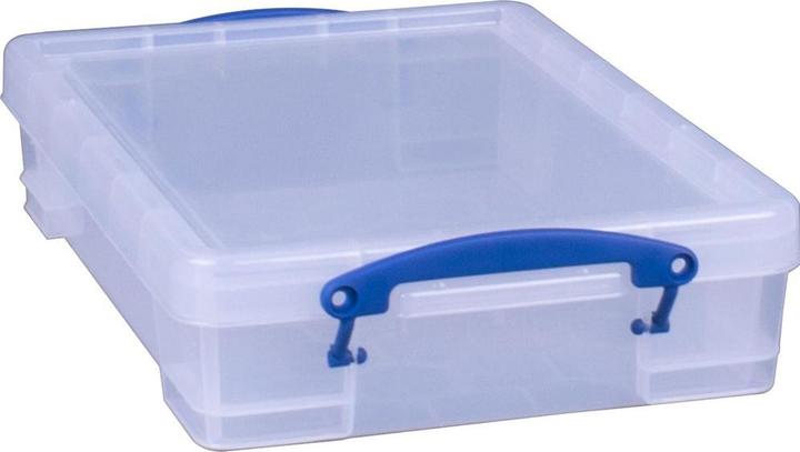 Actual product image Really Useful Box Storage box (25.50 cm, 4 l, 1x)