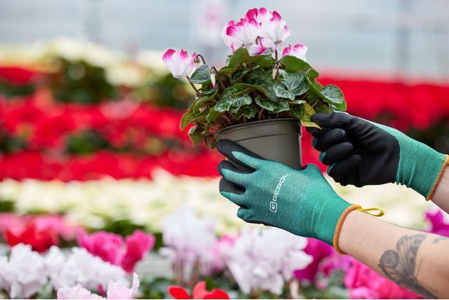 Actual product image Gebol Gartenhandschuh Salvia (9)