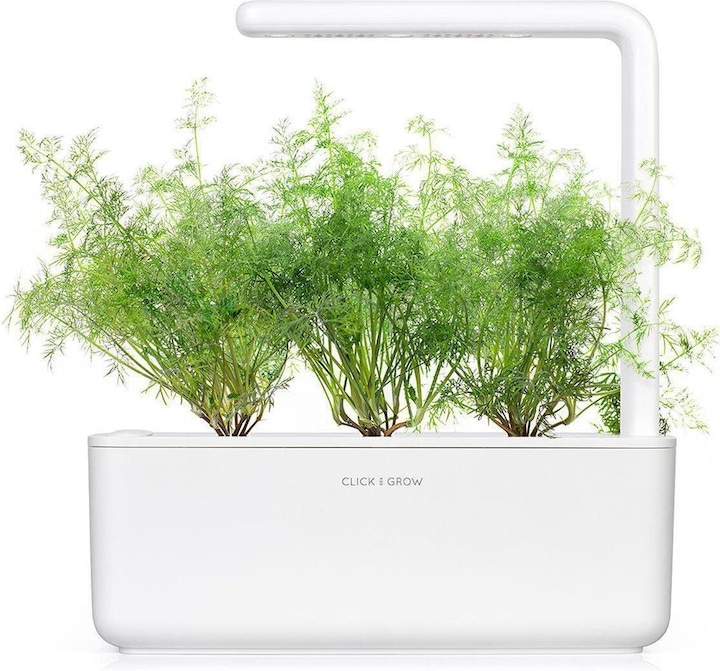 Immagine prodotto Click and Grow Aneto (Semi di erbe)