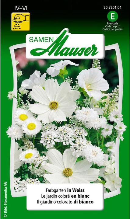 Produktbild Samen Mauser Farbgarten in Weiss (Blumensamen)