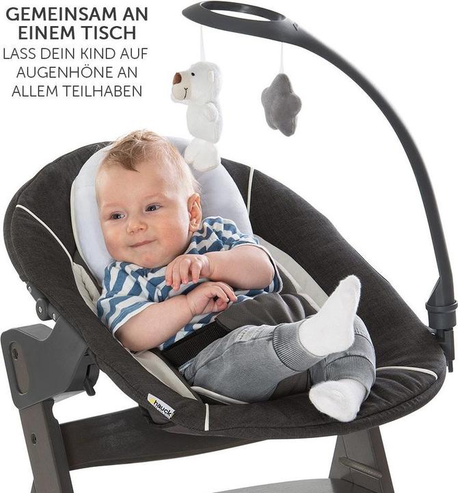 Actual product image Hauck Highchairs Alpha Charcoal Selectline Newborn Set Deluxe - 4 pcs. (Highchair)