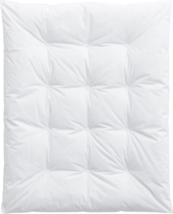 Billerbeck Carmen (190 g, 100 x 135 cm)