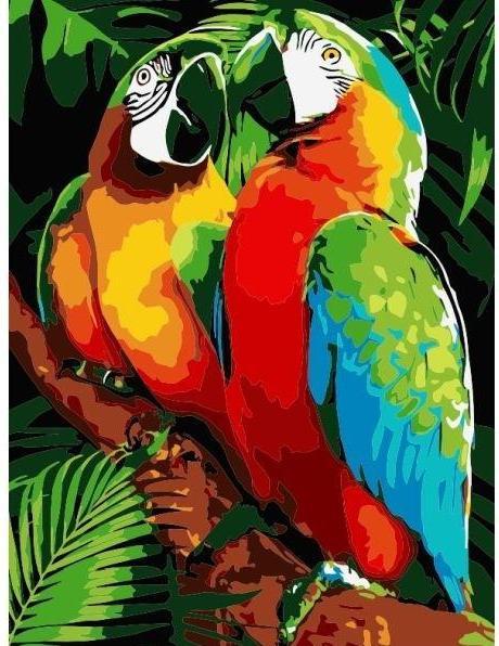 Immagine prodotto Twoje Hobby Malen nach Zahlen - 30x40cm Papageien