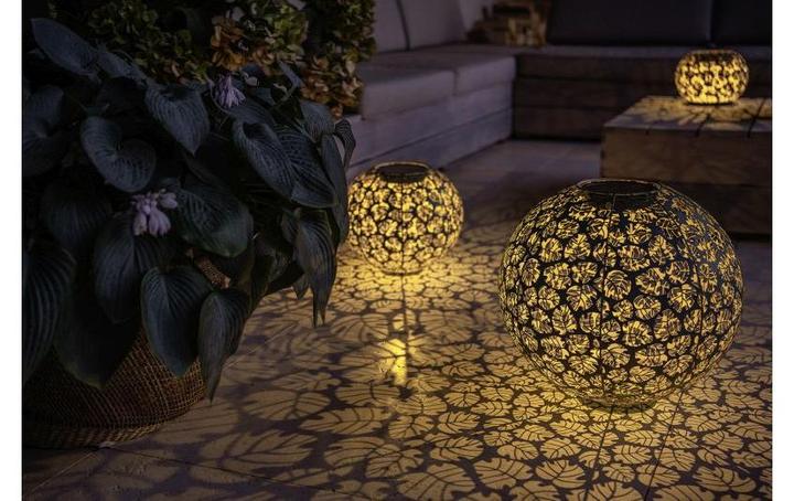 Image du produit STT Monstera