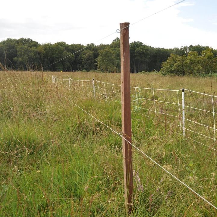 Immagine prodotto Gallagher Insultimber/Eco (x1000)