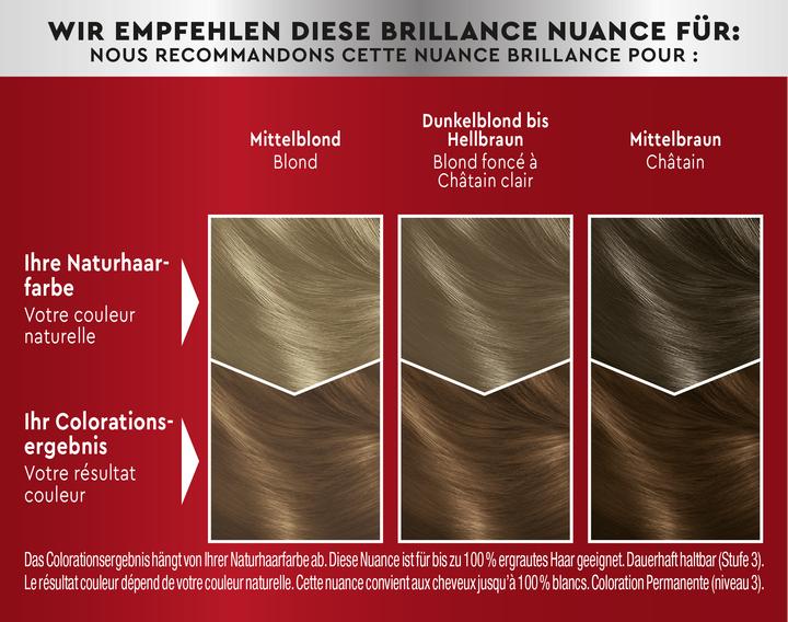 Actual product image Schwarzkopf Brillance Intensive Colour Cream (864 Fawn)
