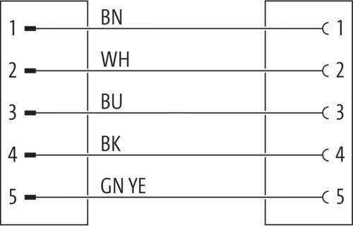 Produktbild Murr Elektronik M12 Buchse