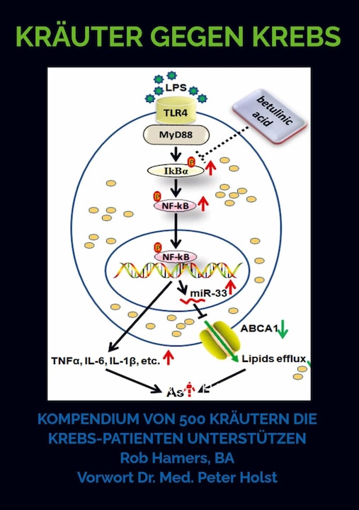 Produktbild Kräuter gegen Krebs (Rob Hamers, 2024)