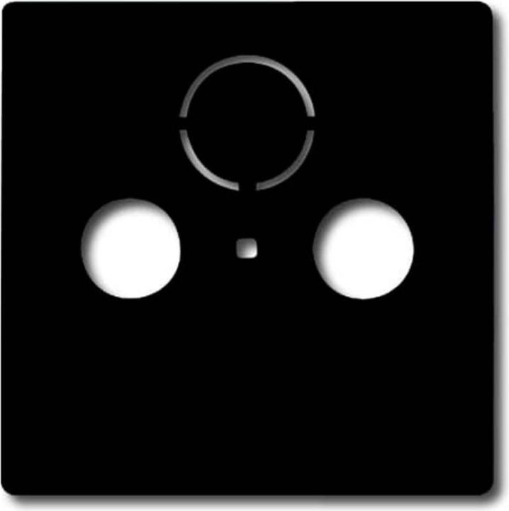 Produktbild Busch-Jaeger Zentralscheibe