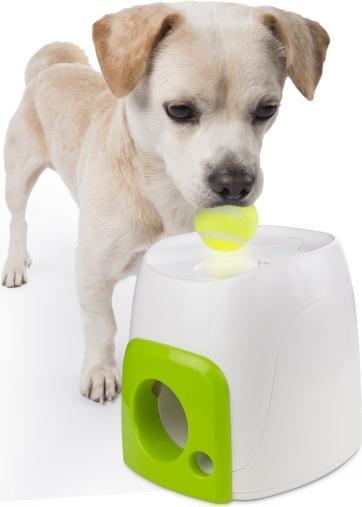 Image du produit All for Paws Jouet pour chiens (Jouet à balle chien)