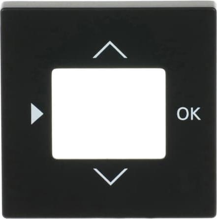 Actual product image Busch-Jaeger Central disk