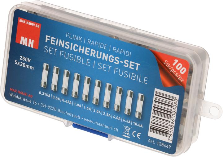 Produktbild Max Hauri Feinsicherungs-Set 10x10 Stk. (10 A)