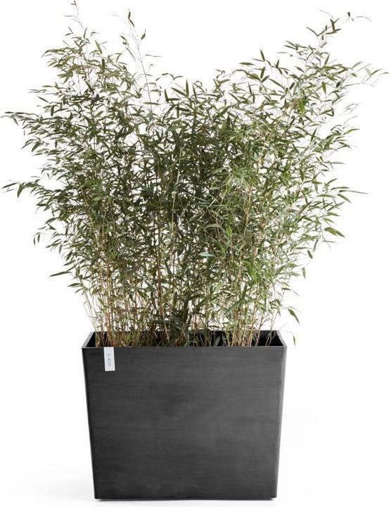 Produktbild Ecopots Paris Wheels (85 x 40 x 65 cm)