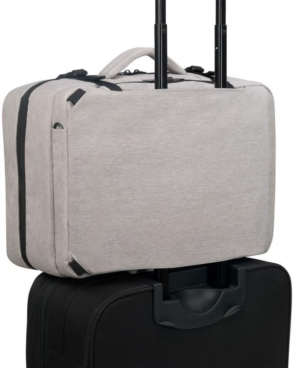 Actual product image Dicota Dual Plus EDGE (15.60")