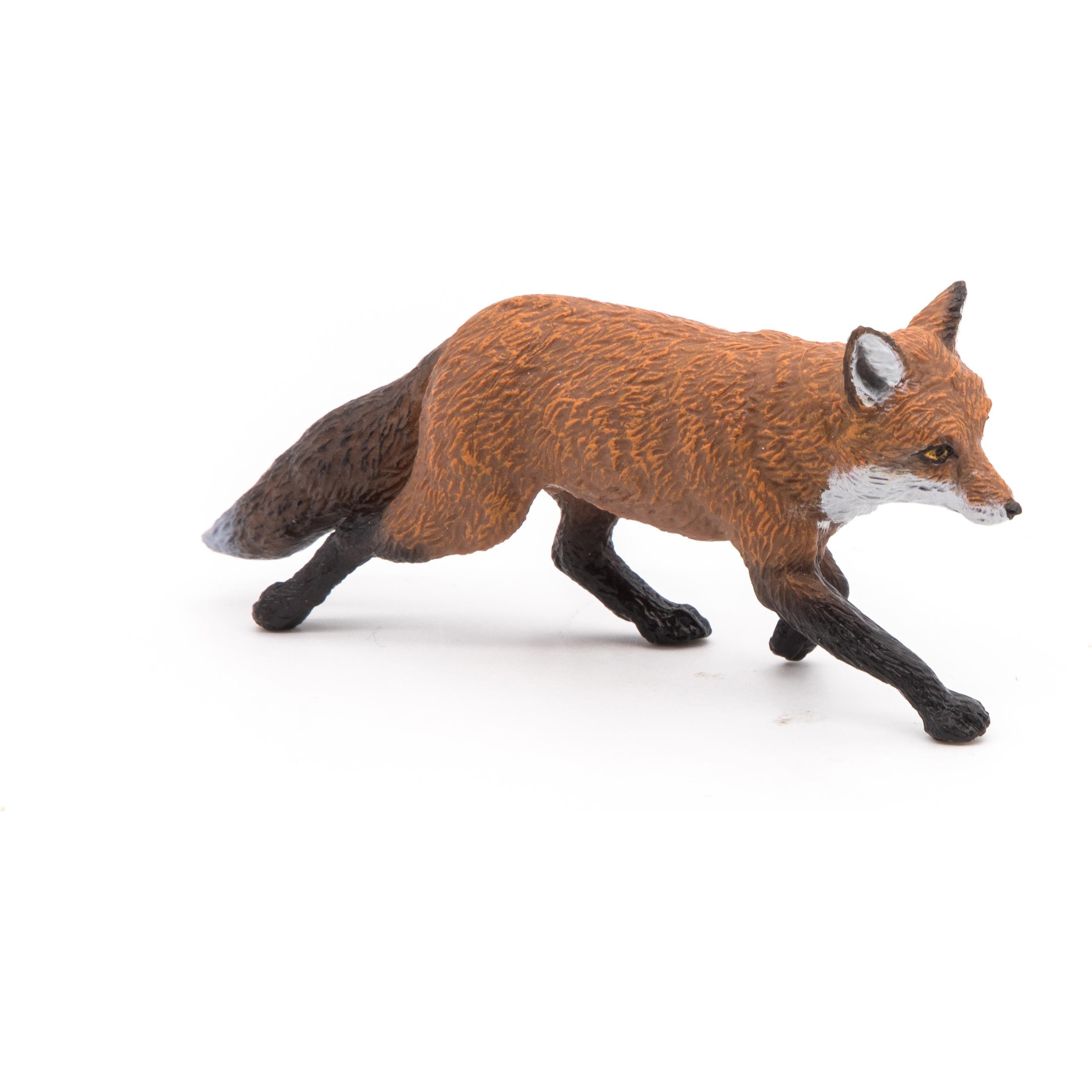 Thumbnail - Papo Fuchs