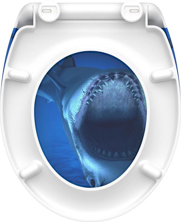 Actual product image Schütte Shark