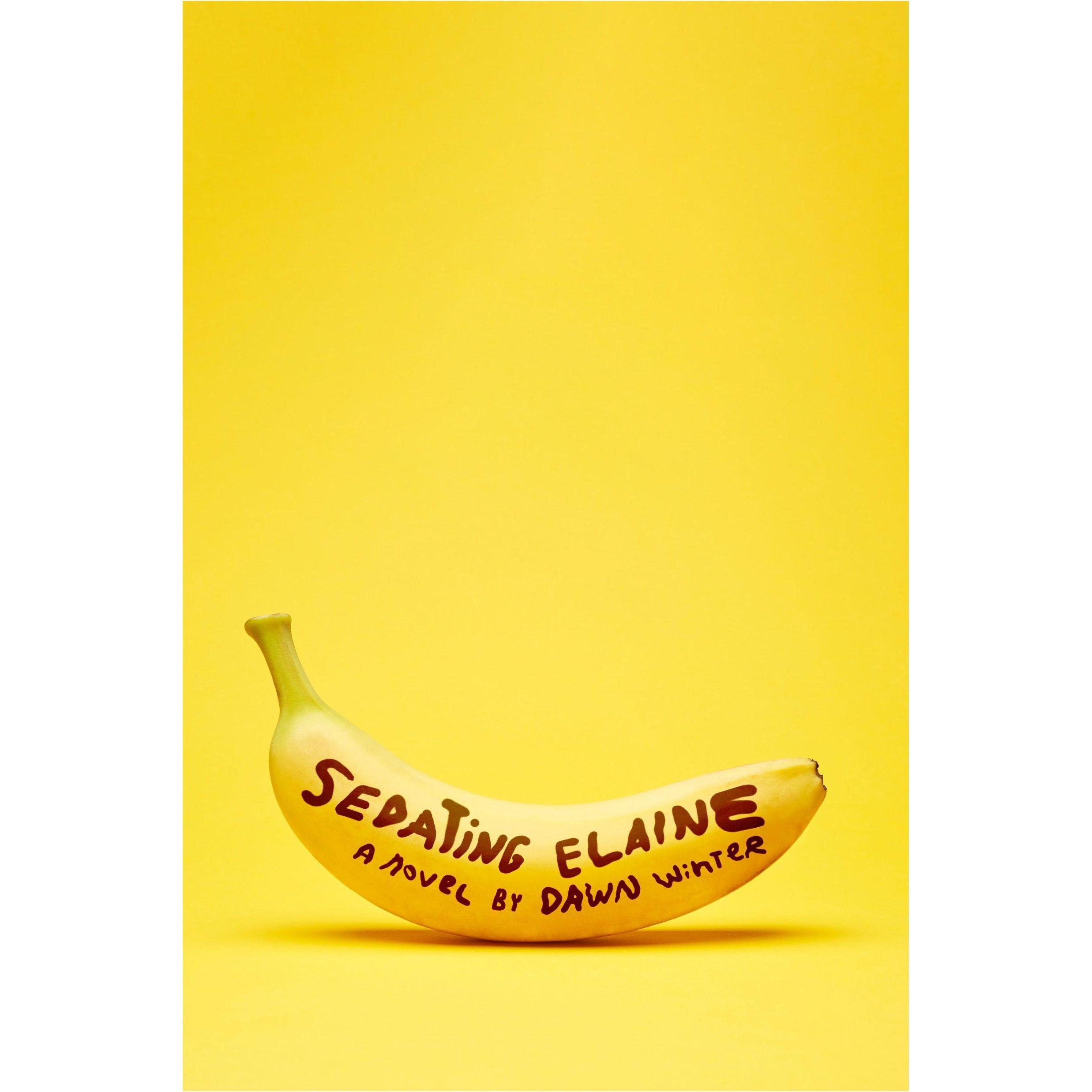 Sedating Elaine, Belletristik von Dawn Winter