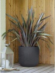 Produktbild EDA Pflanzgefäss BASALT UP, rund, 485 mm, anthrazit Blumentopf aus Kunststoff, in Beton-Optik, für Innen