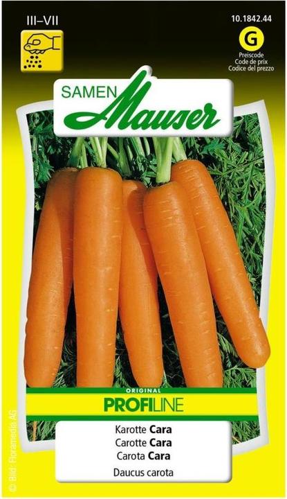 Produktbild Samen Mauser Karotte Cara Profiline (Gemüsesamen)