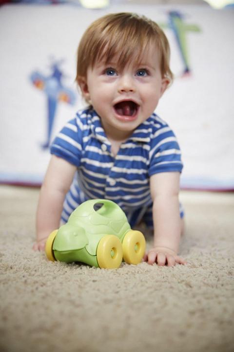 Image du produit Green Toys Turtle Push Toy Tortue