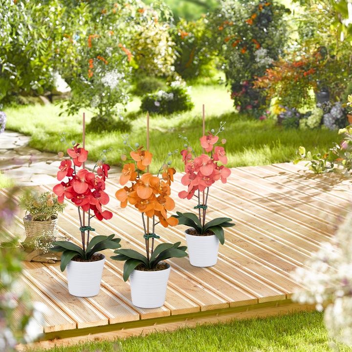 Produktbild Relaxdays 120x Pflanzenclips (6 cm, 4.50 cm)