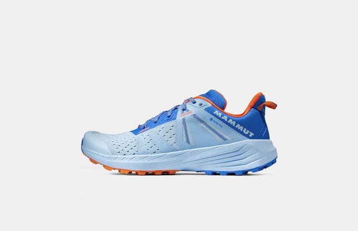 Produktbild Mammut Saentis TR Low GTX Women (42.5)