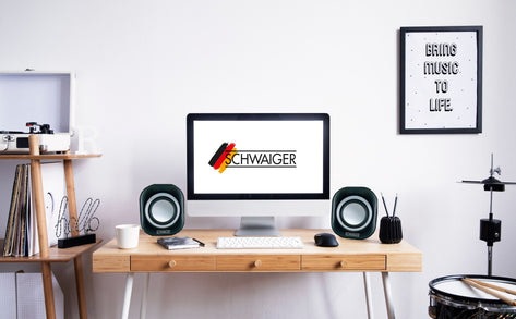Actual product image Schwaiger PC Speaker Stereo Jack/USB