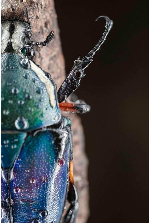 Actual product image 7artisans 60mm f/22 - 2,8 II, Sony E (Sony E, APS-C / DX)