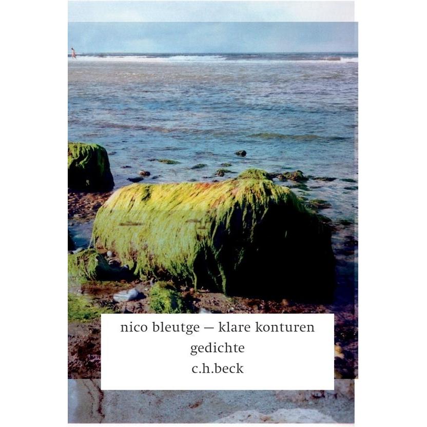 Klare Konturen, Belletristik von Nico Bleutge