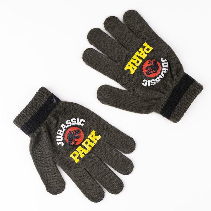 Image du produit Jurassic Park Gants gris foncé