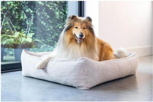 Image du produit Designed by Lotte Lit de repos Ribbed (Chien)