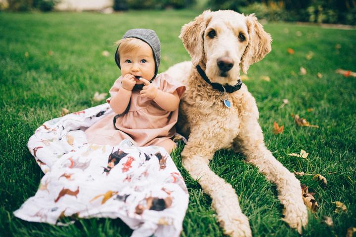 Actual product image little unicorn Cotton Muslin Swaddle 3 Pack - Woof (120 cm, 120 cm)